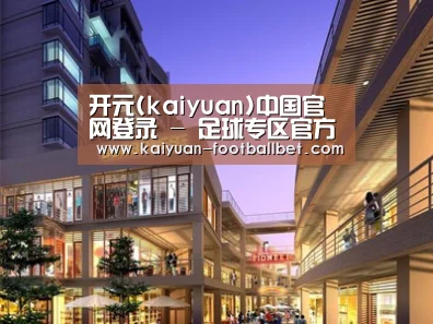 案例展示一